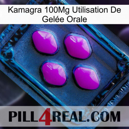 Kamagra 100Mg Utilisation De Gelée Orale 04